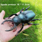 thumbnail - 6