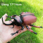 thumbnail - 9
