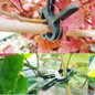 thumbnail - 8