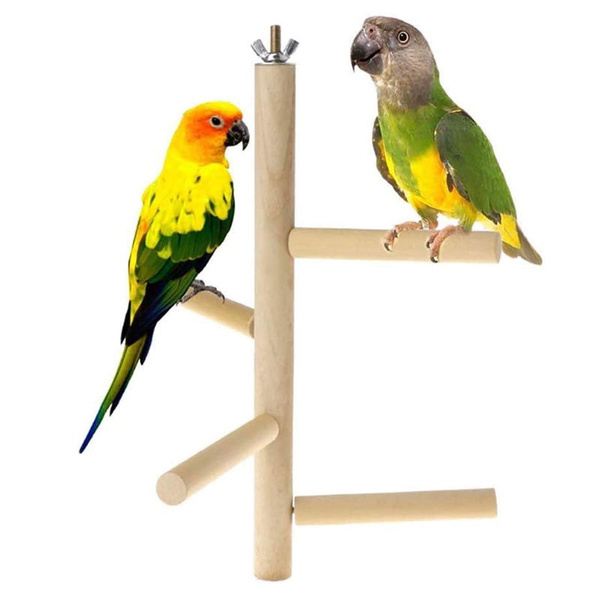 Snapshot of Parrot Cage With Rope Ladder And Safari Adventure Hammock