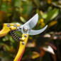 thumbnail - 9