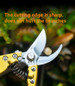 thumbnail - 1