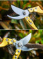 thumbnail - 3