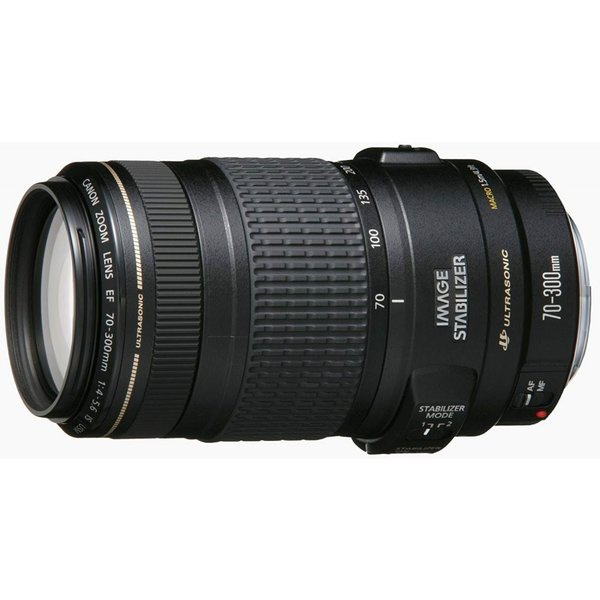 Canon EF 70-300mm F/4.5-5.6 DO IS USM Telephoto Zoom Lens (Renewed