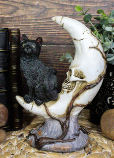 namecollectionidanimal, nameidcollection, nameanimalidcat, skull