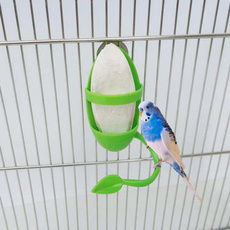 chew, Toy, Parrot, budgie