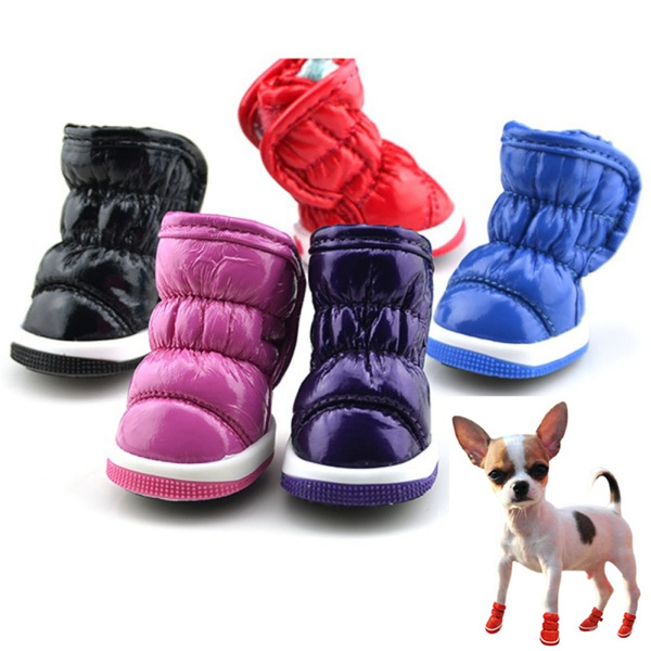 Shoes Chihuahua Dogs Snow, Chihuahua Dog Boots Winter