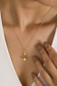 thumbnail - 1