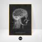 thumbnail - 6