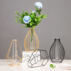 Home & Kitchen, flowerarrangement, glassvase, hydroponic