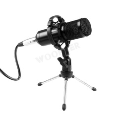 Microphone, bm800, microphoneforpc, Mount