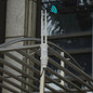 thumbnail - 4