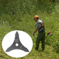 thumbnail - 4
