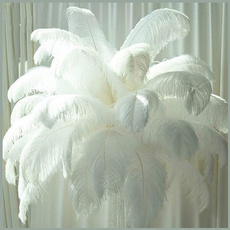 party, fluffy, ostrichfeather, whitefeather