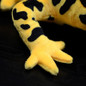thumbnail - 5