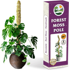 Plants, plantstickssupport, mos, mosspolesforclimbingplant