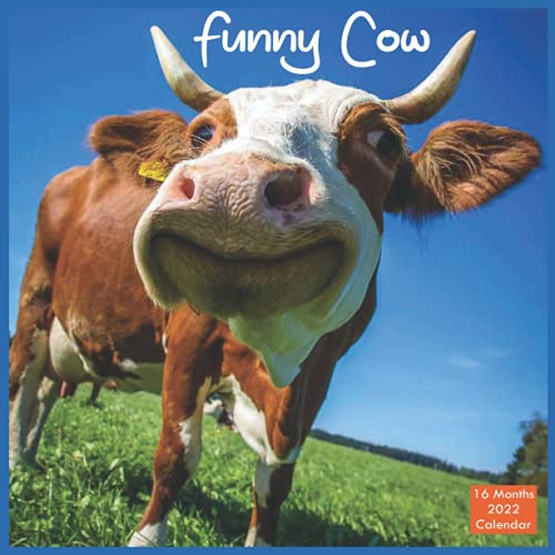 Funny Cow Calendar 2022 Official Cattles Calendar 2022, 16 Month