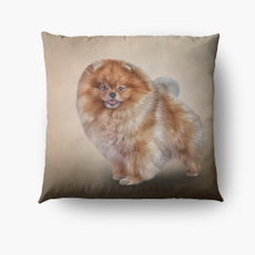 case, Home & Kitchen, bedroompillowcase, Pets