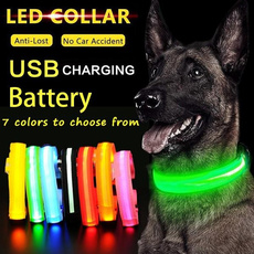 Bright, ledflashingdog, Dog Collar, petaccessorie
