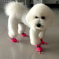 thumbnail - 10