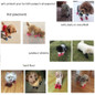thumbnail - 2