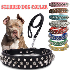 puppy, Dog Collar, Necks, rivetcollar