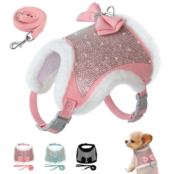 Bling shop outlet dog harness