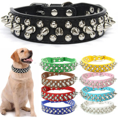 puppy, Dog Collar, Jewelry, neckstrap