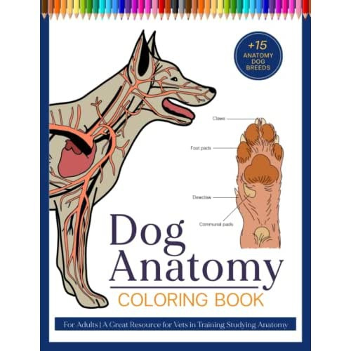 Dog Anatomy Coloring Book For Adults: A Great Resource for Vets in