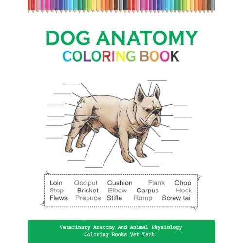 Dog Anatomy Coloring Book Veterinary Anatomy And Animal Physiology