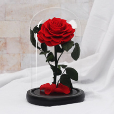 eternalflower, Rose, Dome, Valentines