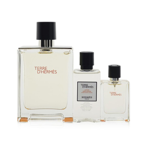 Hermes Terre D'Hermes Coffret: Eau De Toilette Spray 100ml + Eau