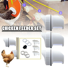 poultry, petaccessorie, Farm, gravity