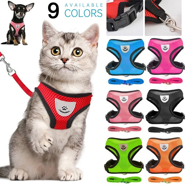 wish cat harness