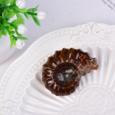 ammonite, Home & Kitchen, Minerals, Gifts