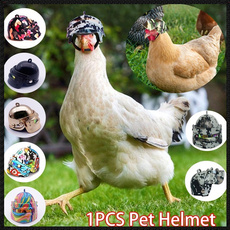 Funny, Fashion, Helmet, Pets