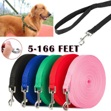dogbelt, pettrackingrope, puppy, camping