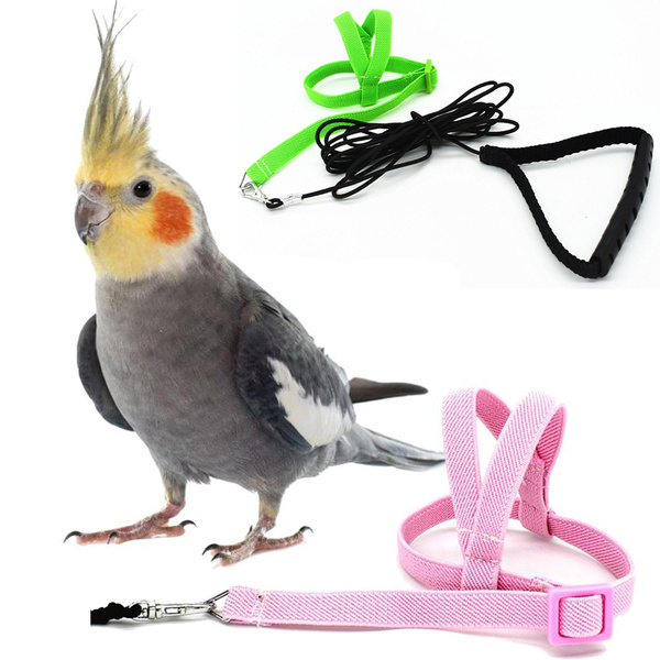 Pet Bird Harness Adjustable Parrot Leash Harness Training Rope Flying Band Bird  Rope Outdoor Training Rope Belt Walking Lead