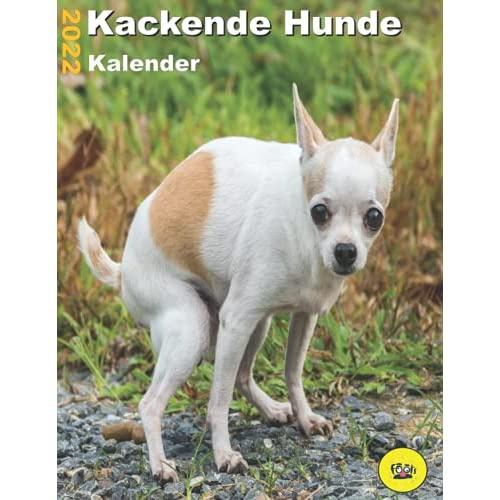 kackende-hunde-kalender-2022-lustige-geschenke-f-r-freunde