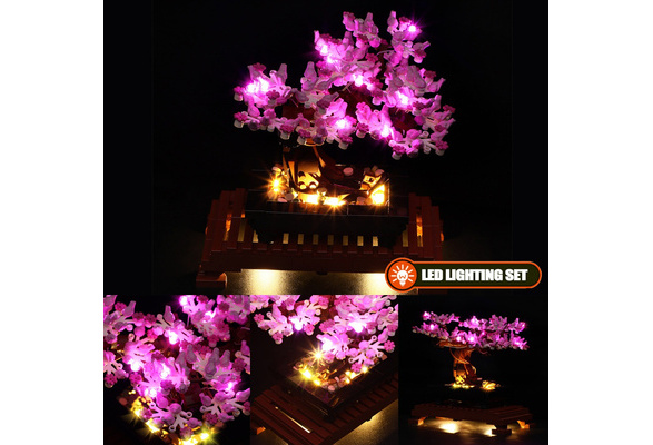 ts bonsai S Shape Ginseng Bonsai: Ficus retusa - 8 inch pot main image 0