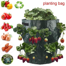 planting, seedsgrowbox, plantbag, Gardening