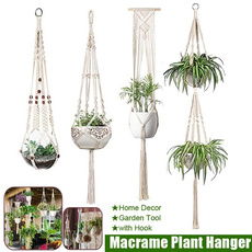 Indoor, Plants, holderhanging, Pot