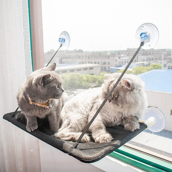 Pet Store Cat Window Perch