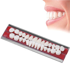 practicetoothmodel, denture, Resin, dentalmaterial