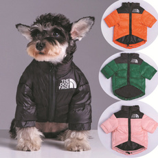 Fashion, dog coat, Winter, Teddy