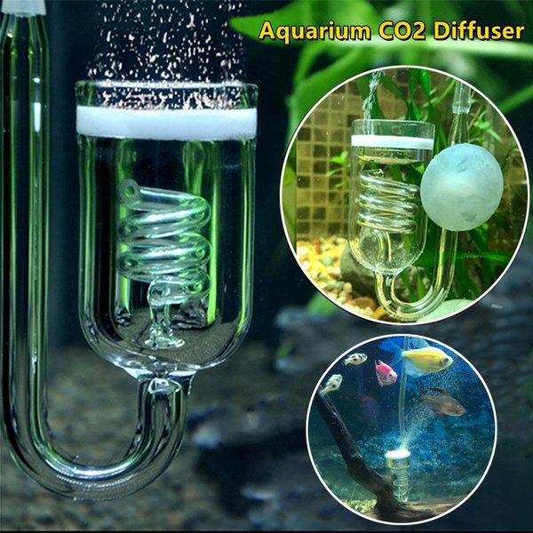 ▷ CO2 Diffusor im Aquarium