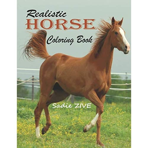 Realistic Horse Coloring Book Wonderful World of Horses Coloring Book