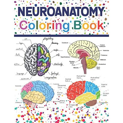 Neuroanatomy Coloring Book: Incredibly Detailed Students Self-Test ...