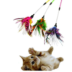 Funny, Toy, wand, activecattoy