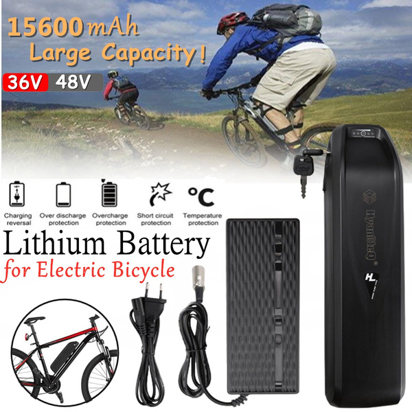 Professional Electric Bike Battery Pack Ebike Power Bank Battery For